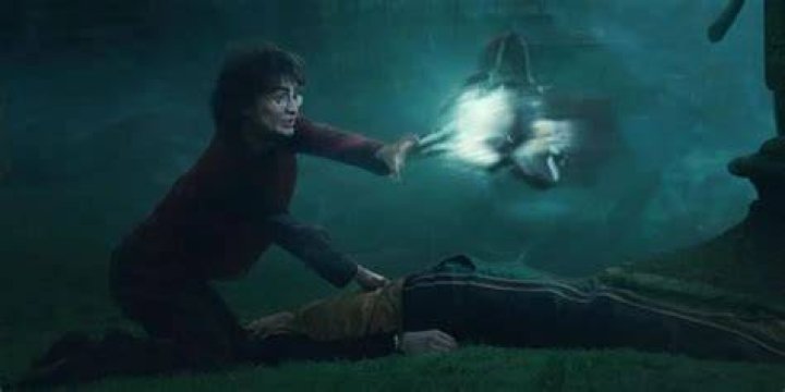 Who taught Harry Accio?
