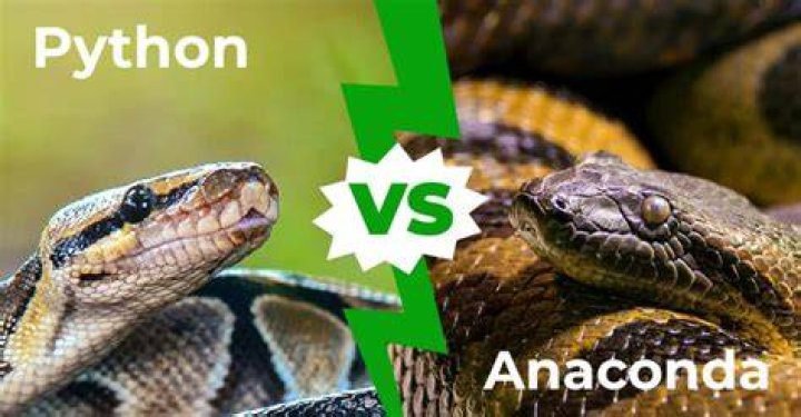 Who would win a Python or Anaconda?