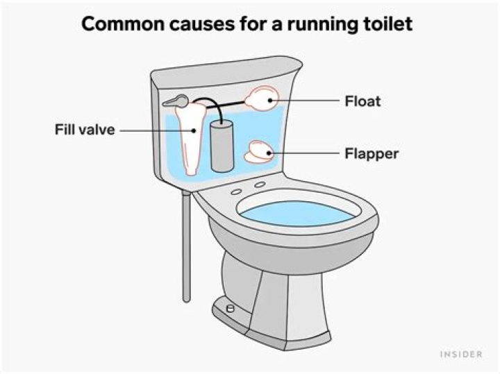Why am I going to the toilet so much?