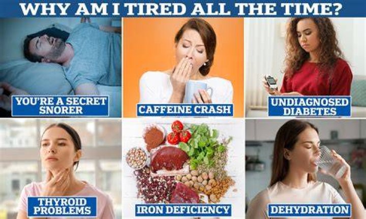 Why am I tired all the time and losing weight?