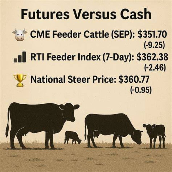 Why are cattle futures falling?