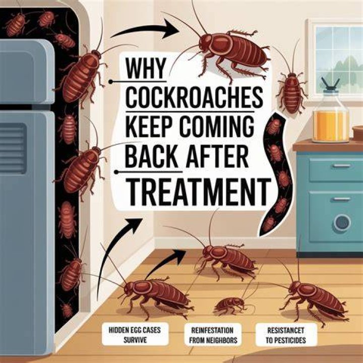 Why are cockroaches unkillable?