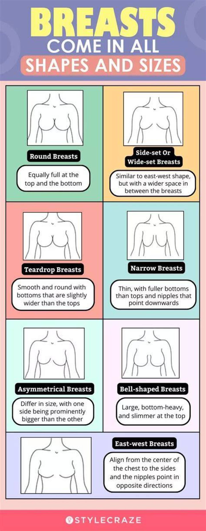 Why are human breasts so large?