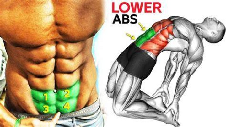 Why are my abs so thick?