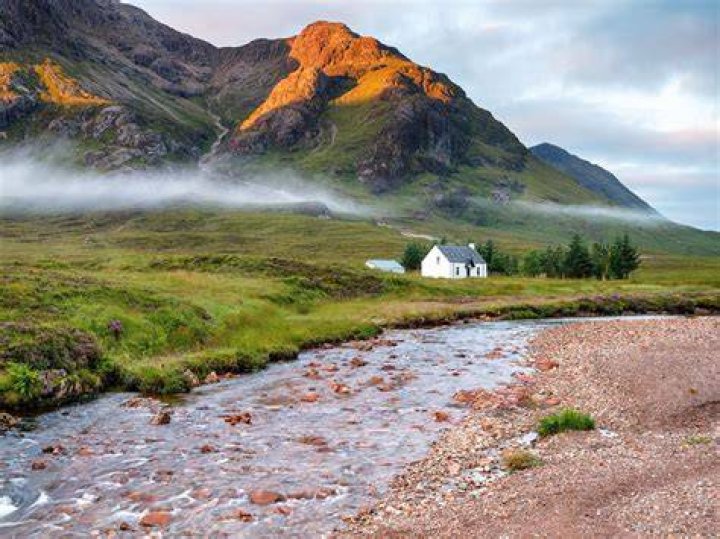 Why are there no trees in Scotland?
