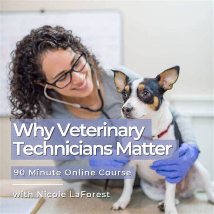 Why are veterinary technicians important?