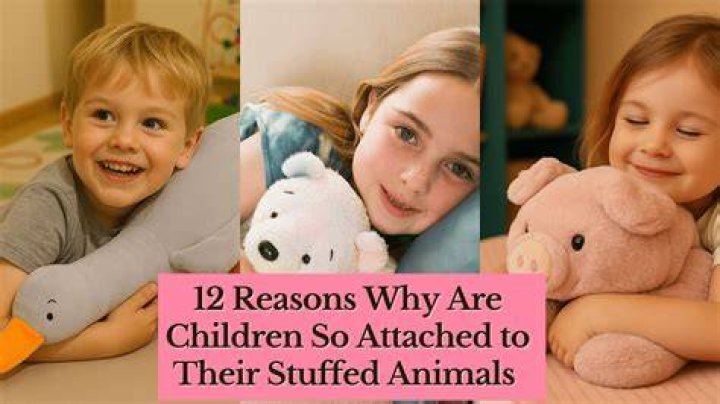 Why children are so attached?