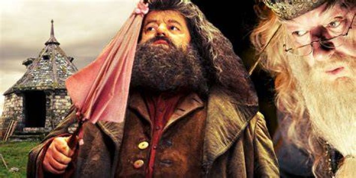 Why did Hagrid buy Hedwig?