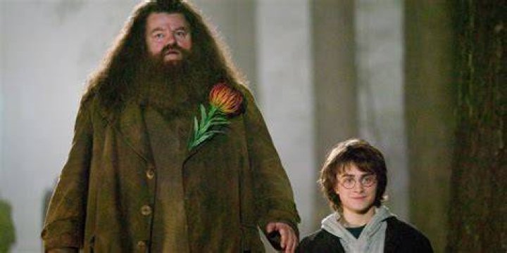 Why did Hagrid remove the stone from the vault?