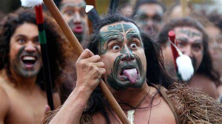 Why did Maori not go to Australia?