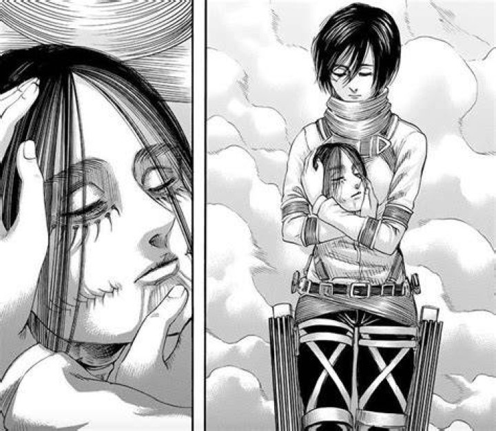 Why did Mikasa cut off Eren's head?