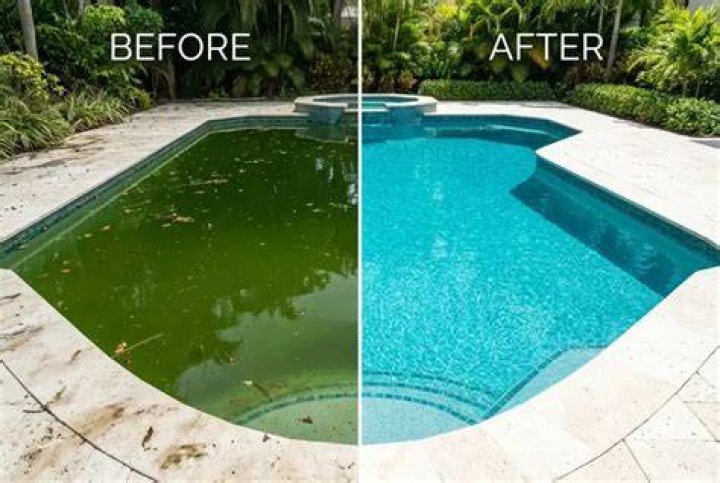 Why did my pool go green overnight?