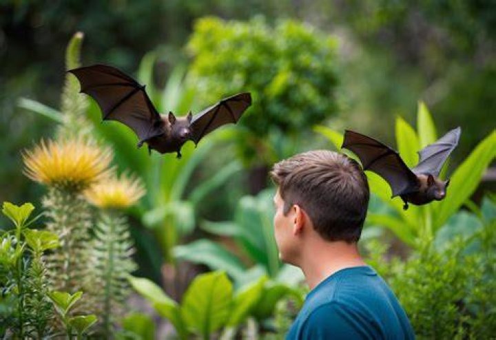Why do bats fly over your head?