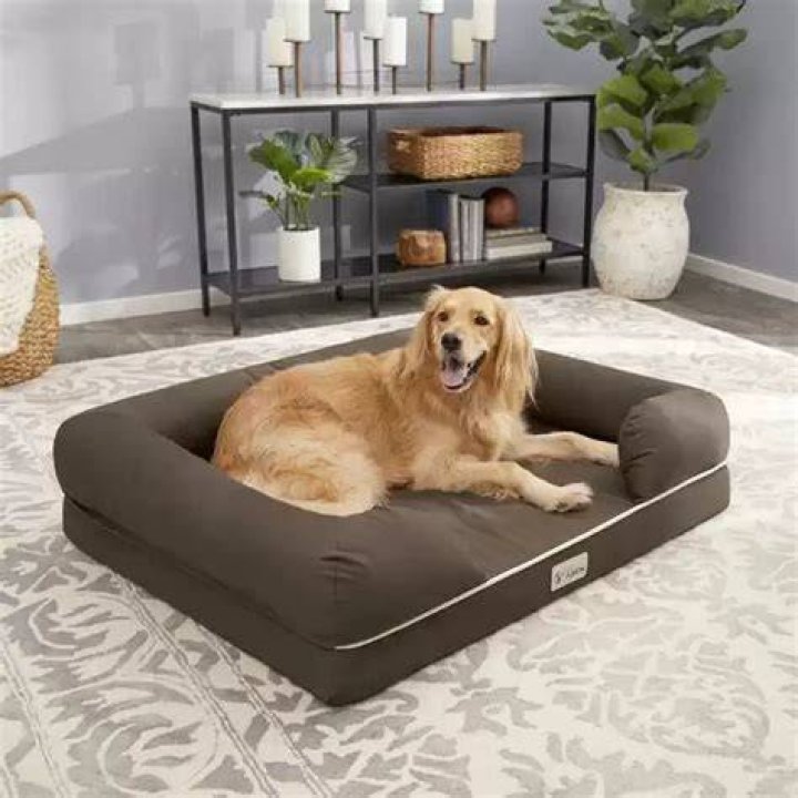 Why do dogs circle around before they lay down?