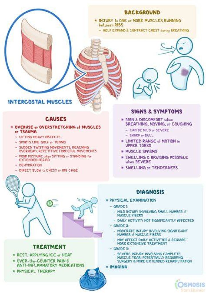 Why do I feel movement under my ribs?