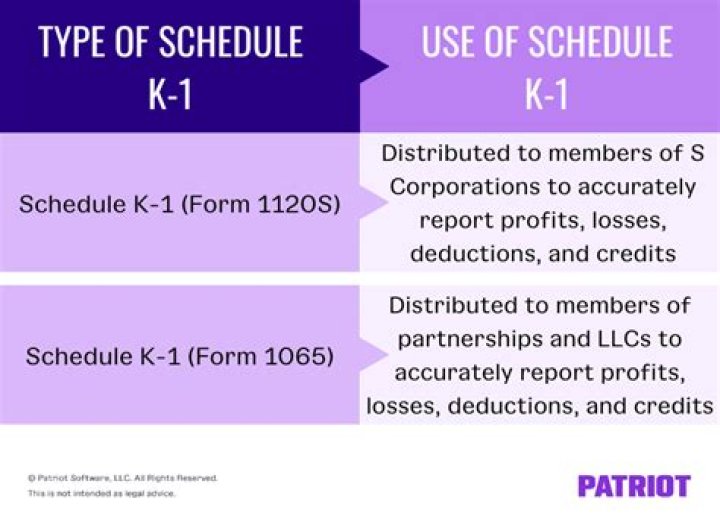 Why do I need to file a Schedule K-1?
