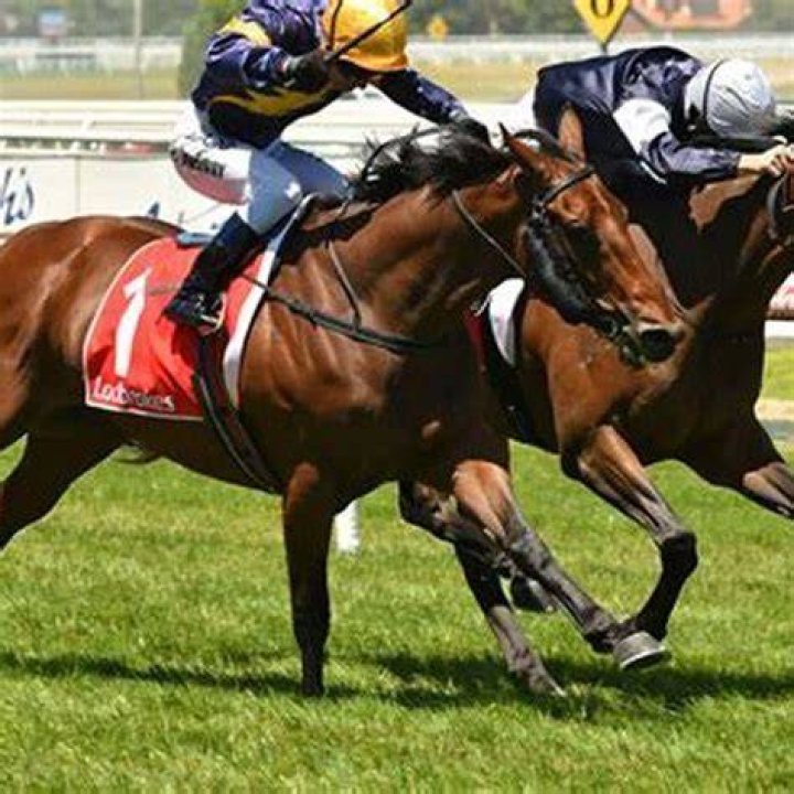 Why do jockeys have their stirrups so short?