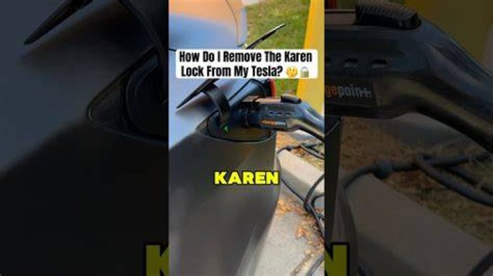 Why do Karens unplug Teslas?