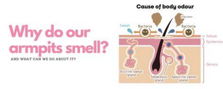 Why do my armpits smell worse after having a baby?