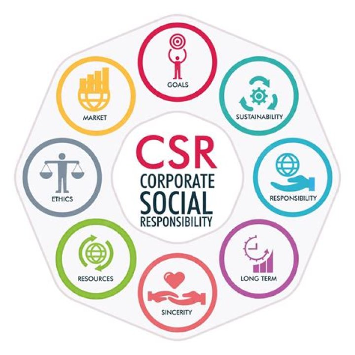 Why do Organisations look at CSR?