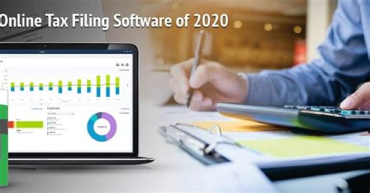 Why do people use online tax filing software?