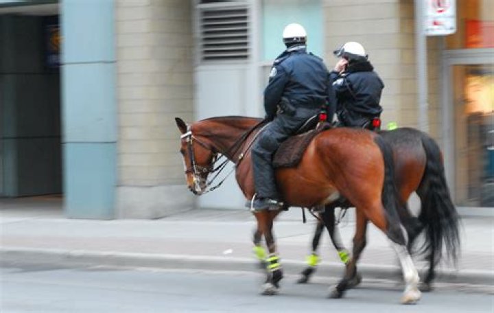 Why do police use horses?