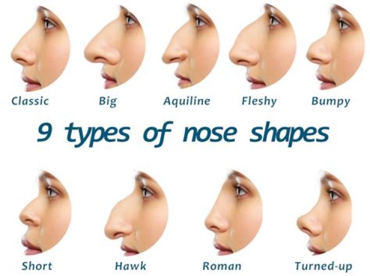 Why do some people's noses get so big?