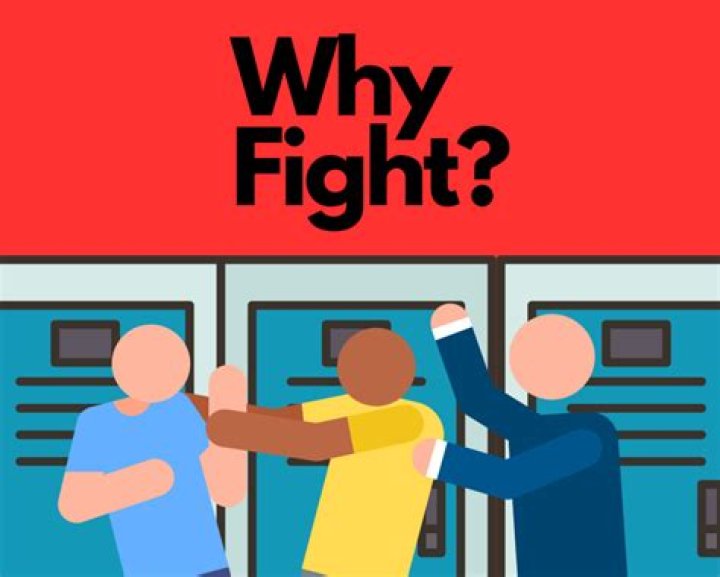 Why do students get into fights?