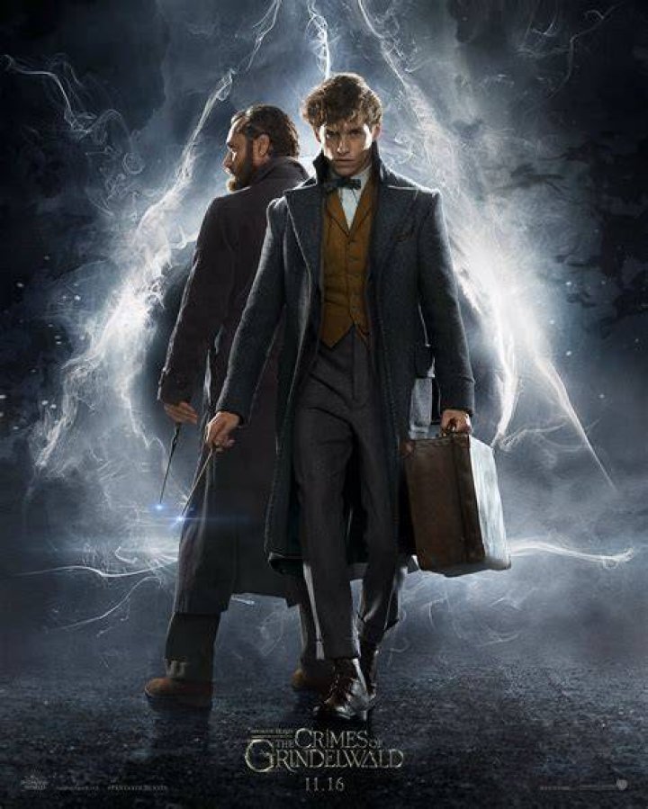 Why do the wizards not get Obliviated in Fantastic Beasts?