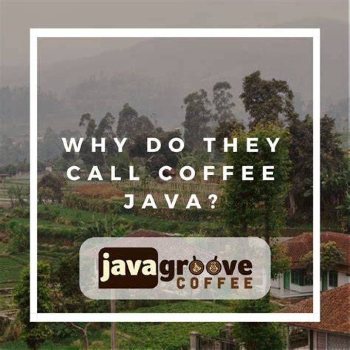 Why do they call coffee a bean?