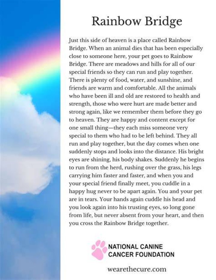 Why do they call it the Rainbow Bridge when a pet dies?