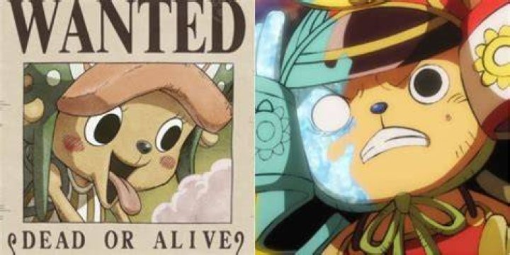Why does Chopper have such a low bounty?