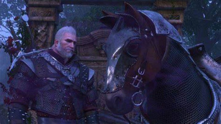 Why does Geralt call his horses Roach?