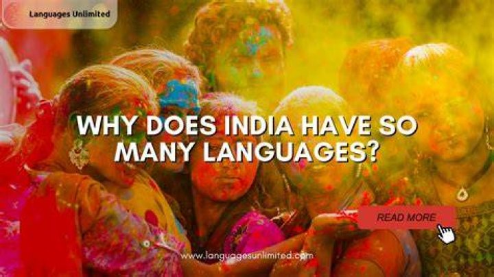Why does India have so many programmers?