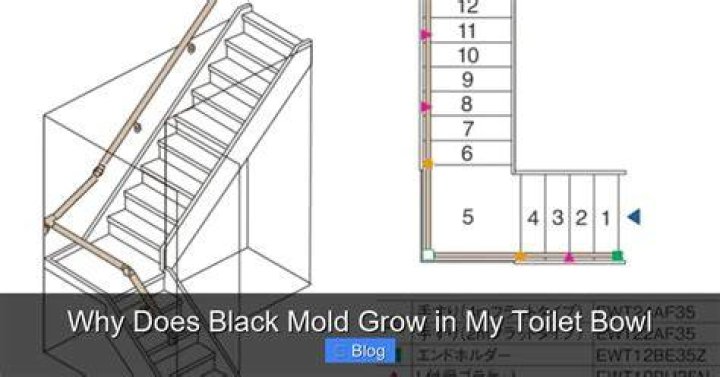 Why does mold grow in my toilet?