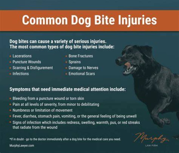 Why does my dog try to bite me when I take his collar off?