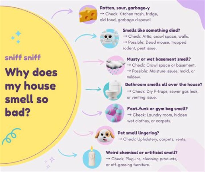 Why does my house smell when I walk in?