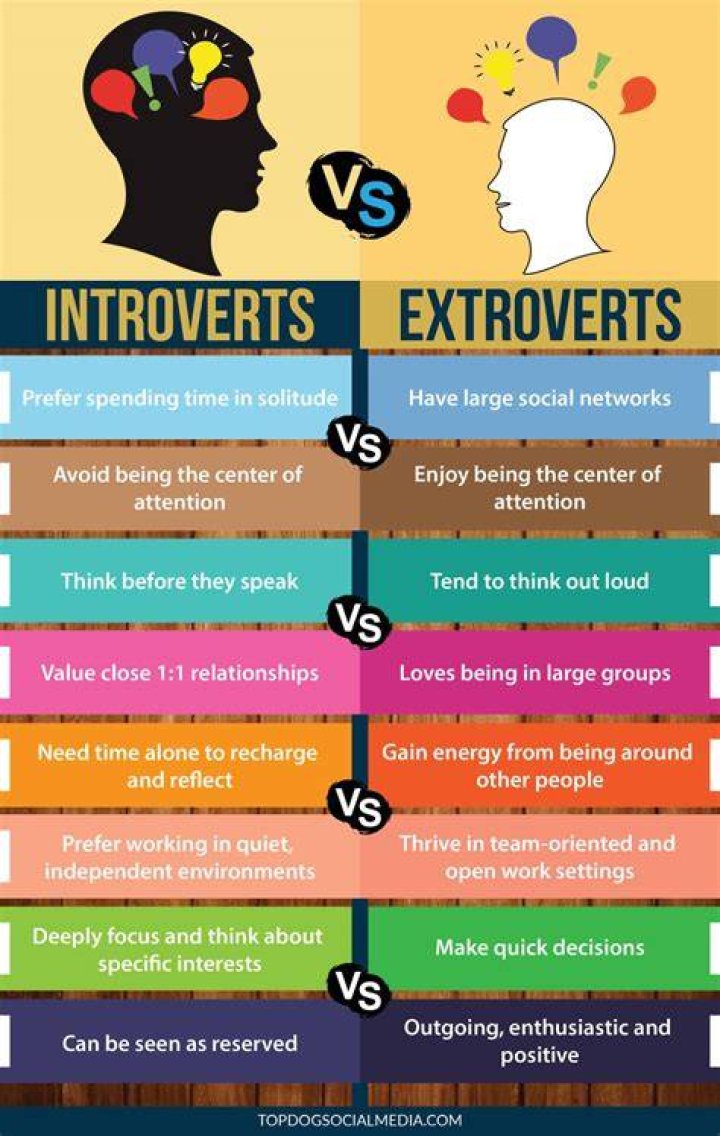 Why extroverts are better than introverts?
