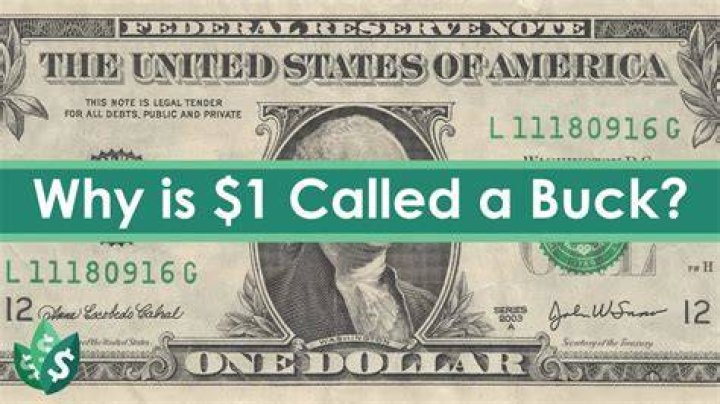 Why is a dollar called a buck?