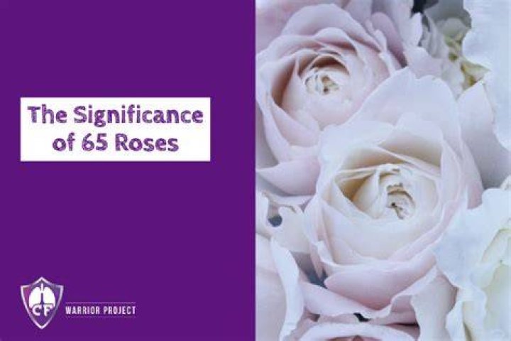 Why is CF called 65 Roses?