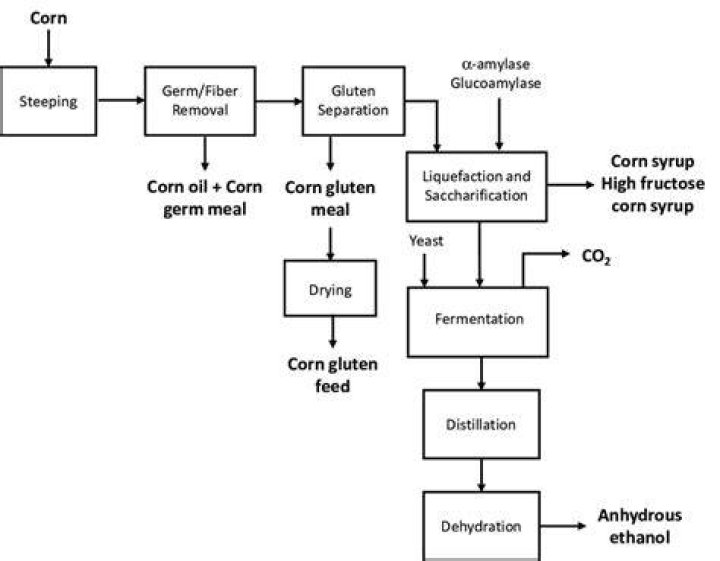 Why is corn so significant in ethanol production?