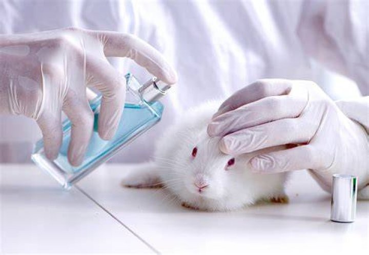 Why is cosmetic animal testing cruel?