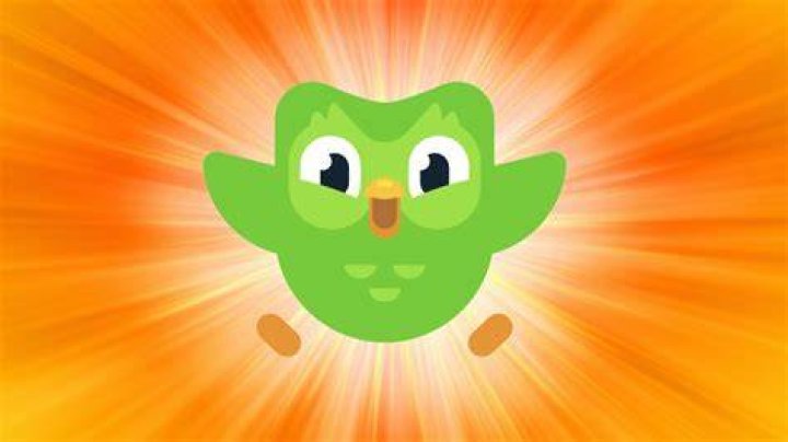 Why is Duolingo green?