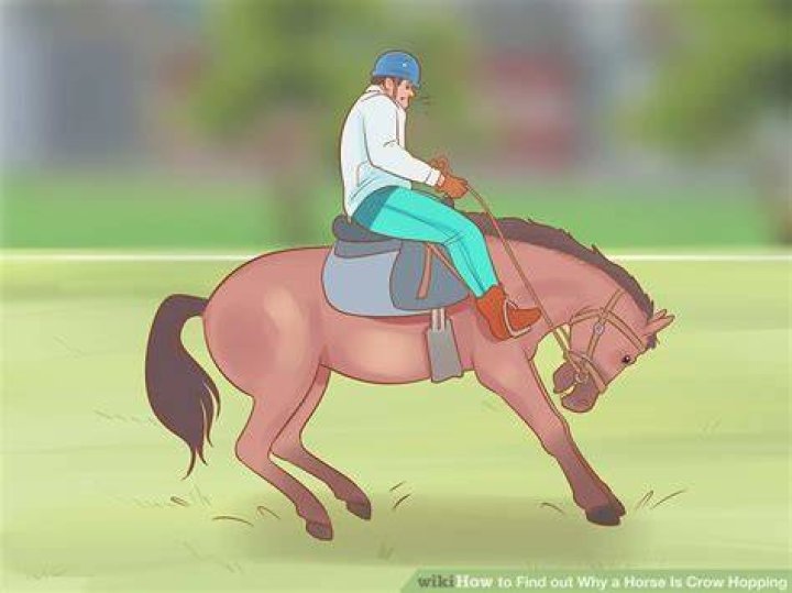 Why is my horse crow hopping?