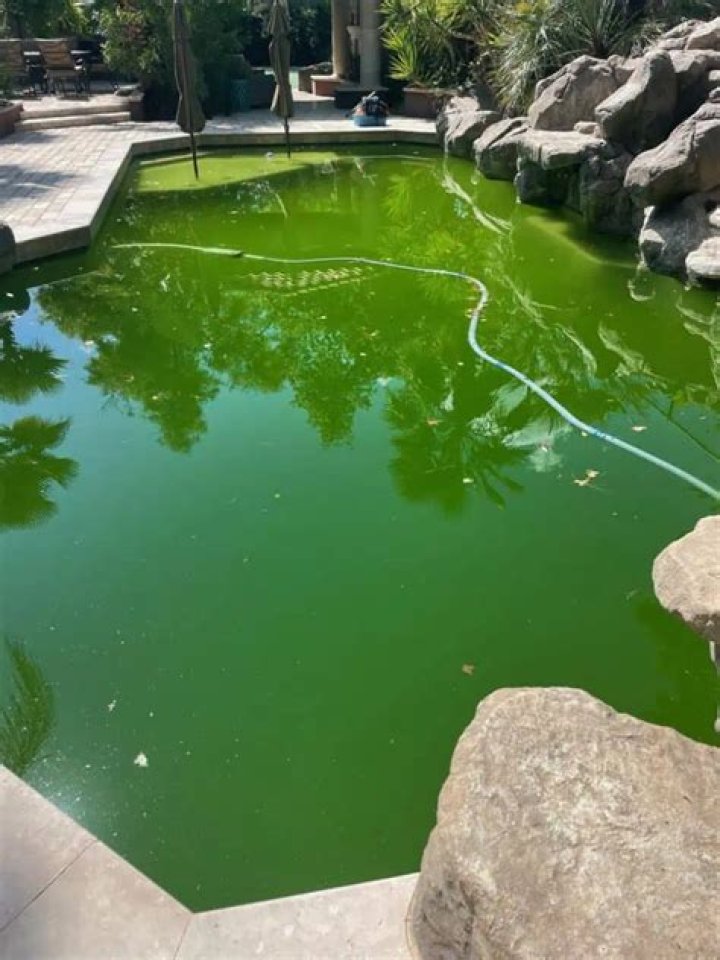 Why is my pool green but chemicals are balanced?