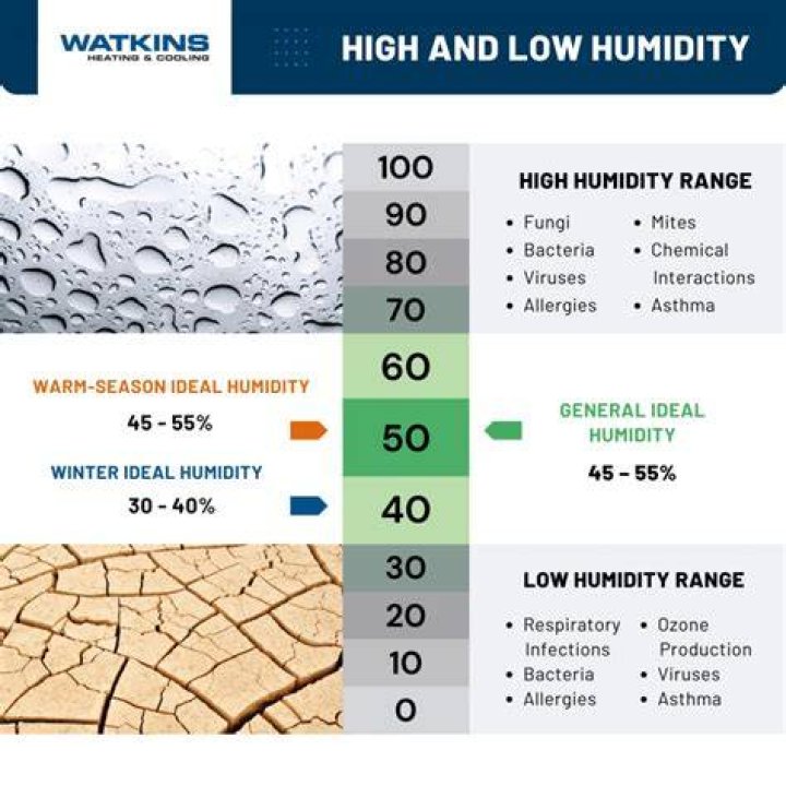 Why is my skin better in humidity?