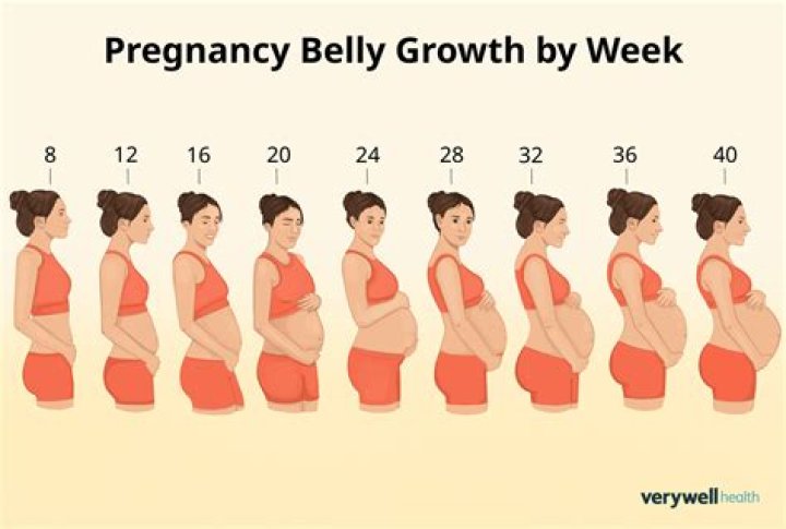 Why is my stomach so small at 7 months pregnant?