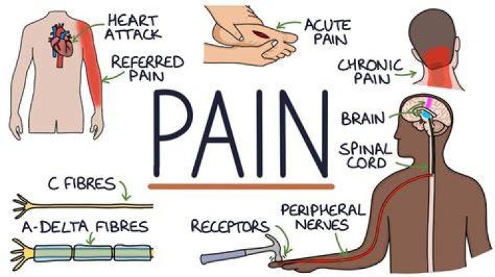 Why is pain so painful?