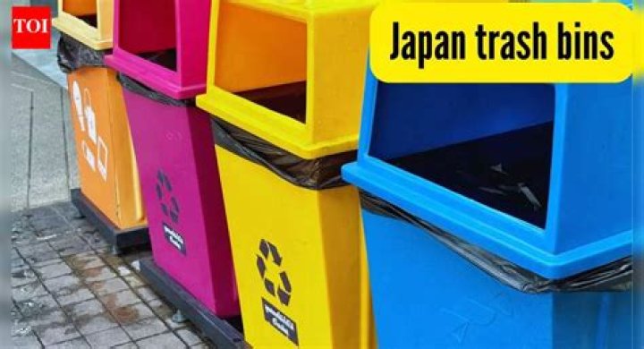 Why Japan has no litter?