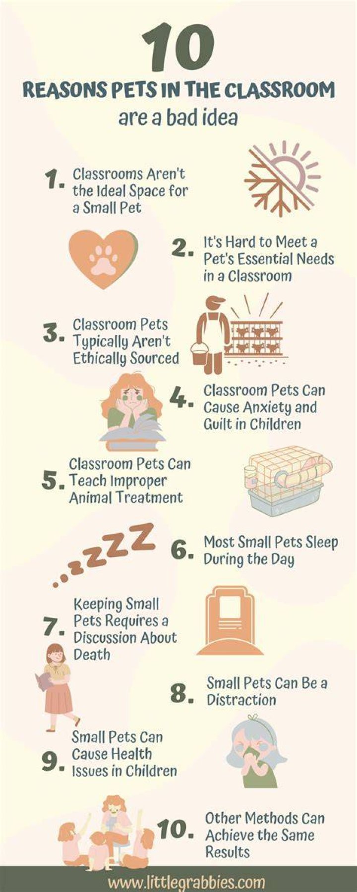 Why pets should be allowed in dorms?